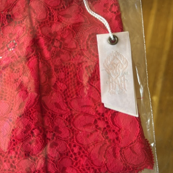 NWT $60 SET OF 2 HAH Chase Me Down Lace Panties Siren Red Romantic Coquet MEDIUM - Picture 4 of 5